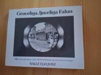Gruveliga, ljuveliga Falun : milj&ouml; och m&auml;nniskor under 80 &aring;r betraktade genom ett kamera&ouml;ga