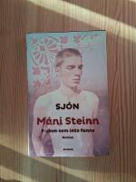 M&aacute;ni Steinn : pojken som inte fanns