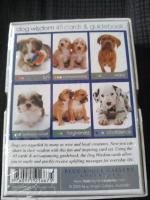 Dog Wisdom: 45 Cards To Inspire & Uplift (45 Cards & 50-Page
