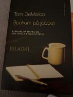 Spelrum p&aring; jobbet - Sl&aring;r h&aring;l p&aring; myten om den totala effektiviteten