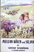 Mellan K&ouml;len och Siljan