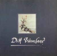 Ditt V&auml;rmland. Kulturmilj&ouml;program f&ouml;r V&auml;rmland och v&auml;rml&auml;nningar. Utsikter och m&ouml;jligheter