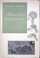 M&auml;nniskans h&auml;rstamning