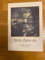 Stilla flyter &aring;n : en Svart&aring;vandring