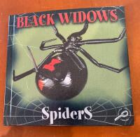 Black Widows Spiders