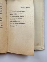 Den svartaste negern i Afrika och andra sagor