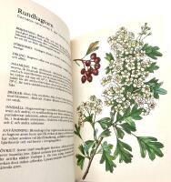 H&auml;lsov&auml;xter - K&auml;nnetecken, odling, anv&auml;ndning. Bearbetning av Sune Pettersson. 112 teckningar i f&auml;rg