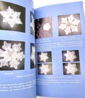 Vattnets dolda budskap - En ny v&auml;rld av m&ouml;jligheter f&ouml;r h&auml;lsa och fred. &Ouml;vers&auml;ttning av Alf Galfvensj&ouml;