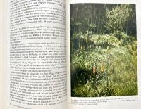 Det vildas v&auml;rld 1-5