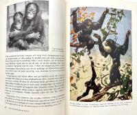 Det vildas v&auml;rld 1-5