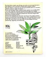 S&auml;tt en k&auml;rna! - Odla och experimentera
