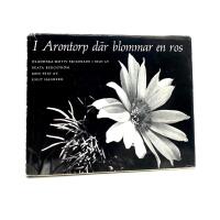 I Arontorp d&auml;r blommar en ros Bilder av Beata Bergstr&ouml;m
