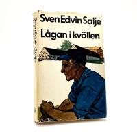 L&aring;gan i kv&auml;llen