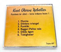 Punken &auml;r d&ouml;d - Leve tv&aring;ans buss