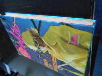 Barbie L&ouml;ser ett mysterium