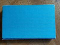 Pigan och h&auml;rligheten : en sm&aring;stadskr&ouml;nika