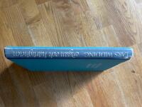 Pigan och h&auml;rligheten : en sm&aring;stadskr&ouml;nika