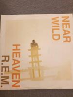 REM NEAR WILD HEAVEN