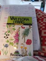 Vår flora i färg Fanemogamer