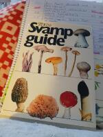 Tidens svampguide