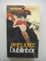 Dublinbor
