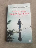 N&auml;r allting faller p&aring; plats