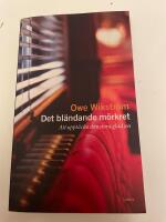 Det bl&auml;ndande m&ouml;rkret : Att uppt&auml;cka den stora gl&auml;djen