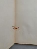 Eric Hallstr&ouml;m (ur serien Svenska m&aring;lare)