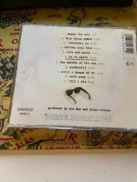 Brian Wilson: I just wasn't made for these times