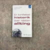 En kortfattad historik om n&auml;stan allting