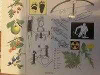 &Ouml;verlevnadshandboken