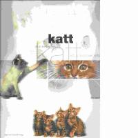 Katt - allt du beh&ouml;ver veta