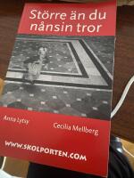 St&ouml;rre &auml;n du n&aring;nsin tror
