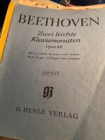 Pianosonat opus 49 Beethoven