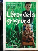 L&auml;randets grogrund : perspektiv och f&ouml;rh&aring;llningss&auml;tt i f&ouml;rskolans l&auml;roplan