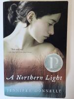 A northern light