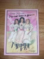 Hur man botar en feminist