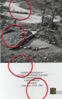 Unders&ouml;kningar av h&ouml;gar och stens&auml;ttningar vid Limman&auml;s-Tom, Fj&auml;r&aring;s br&auml;cka, Kungsbacka kommun, Halland under &aring;ren 1913 - 1985