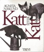 Katt efter katt