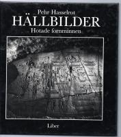 H&auml;llbilder : hotade fornminnen