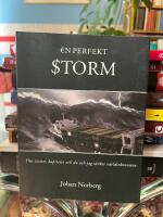 En perfekt storm : hur staten, kapitalet och du och jag s&auml;nkte v&auml;rldsekonomin