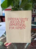 Sex och ett samvetskval f&ouml;r himlen