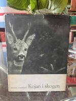 Kojan i skogen