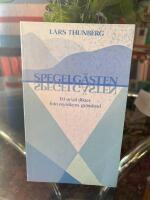 Spegelg&auml;sten : ett urval dikter fr&aring;n mystikens gr&auml;nsland