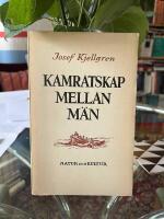 Kamratskap mellan m&auml;n