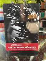 I det lysande m&ouml;rkret : en l&auml;sning av Birgitta Trotzigs De utsatta