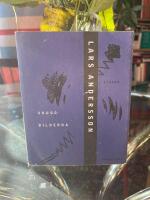 Skuggbilderna : ess&auml;er