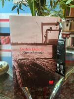 Nina och sundet : roman