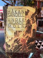 Under jagande moln - dikter 2025