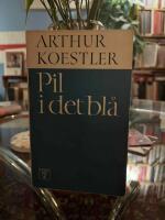 Pil i det bl&aring;